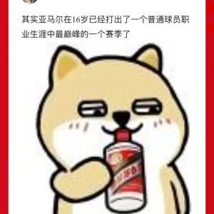 九游体育入口-24年亚马尔与现役道曼谁更惊艳|拉米内·亚马尔|法国足球队|欧洲杯|金童奖_新浪体育_新浪新闻